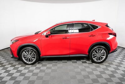 2024 Lexus NX 350 Luxury