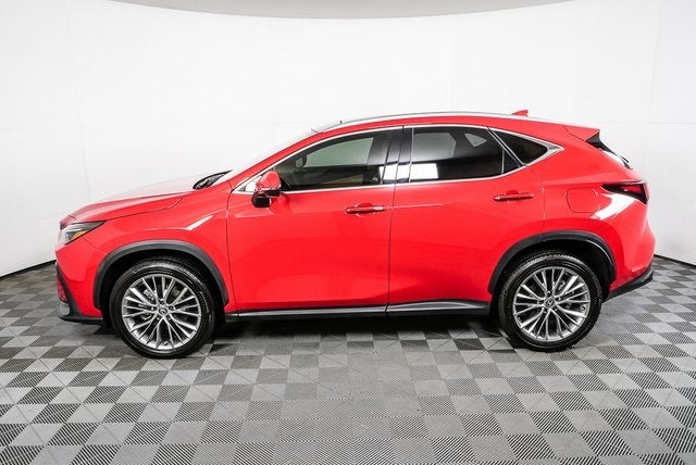 2024 Lexus NX 350 Luxury
