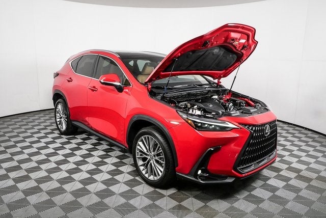 2024 Lexus NX 350 Luxury